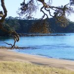 Barons Beach in the morning