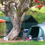 Whananaki Camping pic